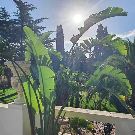 Apartamento 1 Bedroom Nice In Saint-raphael Saint-Raphaël